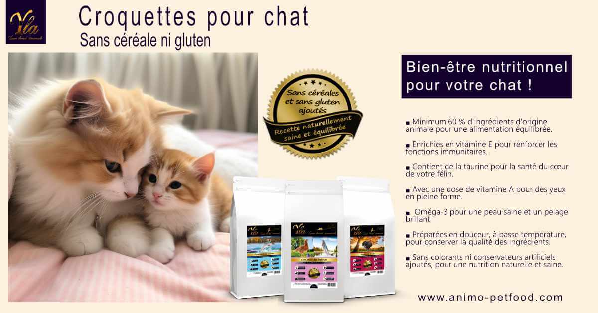 croquettes-chats-sans-cereale-ni-gluten